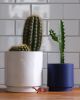 Kolo Planter - 2 sizes | Vases & Vessels by Misewell