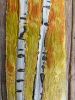 Autumn's Vibrant Decay | Mixed Media in Paintings by Susan Wallis. Item works with contemporary & modern style