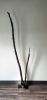 Large Driftwood Sculpture "Vale" | Sculptures by Sculptured By Nature  By John Walker. Item made of wood compatible with minimalism style