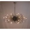 Alan Mizrahi QZ1204 Supernova Starburst | Chandeliers by Alan Mizrahi Lighting Design