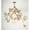 Alan Mizrahi IQ20570 Wineroy | Chandeliers by Alan Mizrahi Lighting Design