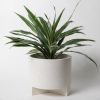 Large Planter w/ Base | Vases & Vessels by Pretti.Cool. Item made of concrete