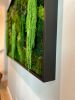 "The Forgotten Forest" Moss Art By Moss Art Installations | Wall Sculpture in Wall Hangings by Moss Art Installations
