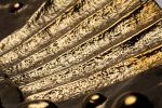 Gold Fish Wall Decor | Decorative Objects by PlusObject