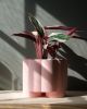 Pillar Planter | Vases & Vessels by Misewell
