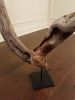 Driftwood Sculpture "Wishing On" | Sculptures by Sculptured By Nature  By John Walker. Item composed of wood in minimalism style