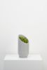 Small Summit Planter | Vases & Vessels by Capra Designs