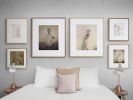 Musing #2 | Photography by Louise O'Gorman
