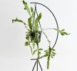 Crescent Plant Stand | Plants & Landscape by Capra Designs