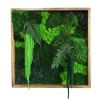 SquareForgotten Forest | Decorative Frame in Decorative Objects by Moss Art Installations