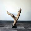 Driftwood Art Sculpture "Don't Ask Why" | Sculptures by Sculptured By Nature  By John Walker. Item composed of wood in minimalism style