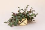 6" Lipstick black pagoda + Woven Planter Basket | Vases & Vessels by NEEPA HUT. Item made of wood
