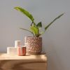 Kolo (Gloopy) Planter - 2 sizes | Vases & Vessels by Misewell