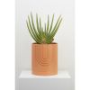 Large Etch Planter | Vases & Vessels by Capra Designs