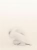 Emerging #2 | Photography by Louise O'Gorman