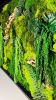 "The Forgotten Forest" Moss Art By Moss Art Installations | Wall Sculpture in Wall Hangings by Moss Art Installations