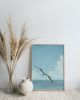 Wobbly Seagull in Flight | Prints by The Ugly Cat Studio
