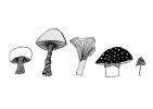 Mushrooms Art Print, Autumn Illustration Print | Prints by Carissa Tanton. Item composed of paper