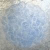 Dichondra | Paintings by Sorelle Gallery. Item made of birch wood