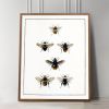 Bee Print, Bee Wall Art, English Cottage Decor, Cottagecore | Prints by Capricorn Press. Item composed of paper in boho or minimalism style