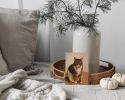 Olive | Prints by The Ugly Cat Studio
