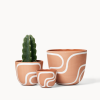 Terracotta Outline Planters | Vases & Vessels by Franca NYC. Item made of ceramic works with boho & minimalism style