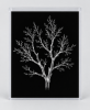 EXPOSED AUTUMN — BARE BRANCH | Decorative Objects by Exposedart