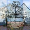 Growth in Solitude - Photomontage | Photography by Beth Kerschen. Item made of aluminum with paper