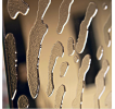 Fingerprint Gold Art Wall Decor | Decorative Objects by PlusObject