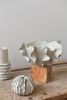 Ribera Large Centerpiece Bowl | Decorative Bowl in Decorative Objects by OWO Ceramics