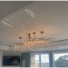 Alan Mizrahi IQ3003 Livio Branching Chandelier | Chandeliers by Alan Mizrahi Lighting Design