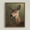 The Deer | Prints by Catherine H