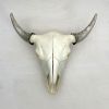 Bison Skull - Natural, Gilded Horns | Wall Sculpture in Wall Hangings by Farmhaus + Co.. Item made of wood