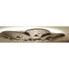 Alan Mizrahi AM6001 Babbling Brook | Chandeliers by Alan Mizrahi Lighting Design