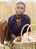 Market Black/Natural Stripe Basket | Storage Basket in Storage by AKETEKETE. Item compatible with boho and country & farmhouse style