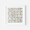 One Hundred Vintage Encyclopedia Dots Collage | Paintings by Amelia Coward