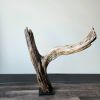 Driftwood Art Sculpture "Don't Ask Why" | Sculptures by Sculptured By Nature  By John Walker. Item composed of wood in minimalism style