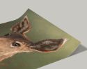 The Deer | Prints by Catherine H