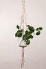 Sample Plant Hangers | Plants & Landscape by Modern Macramé by Emily Katz. Item composed of cotton and brass