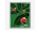 Abstract Botanical Collage Print with Geometric Shapes and | Prints by Capricorn Press. Item composed of paper in boho or minimalism style
