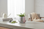 Blush Spark Mad Hatter Planter | Vases & Vessels by RAW & UNIQ