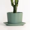 Native Oval Planter - Handmade Porcelain Planter | Vases & Vessels by The Bright Angle. Item made of ceramic