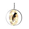 Alan Mizrahi AM7407 Astrolab | Chandeliers by Alan Mizrahi Lighting Design