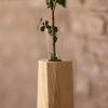 Cypress and Glass Vase | Facet Flower Vase | Vases & Vessels by Alabama Sawyer. Item composed of wood and glass