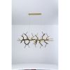 Alan Mizrahi WM2088 Acropora | Chandeliers by Alan Mizrahi Lighting Design