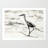 Graceful | Prints by Brazen Edwards Artist. Item composed of canvas and paper
