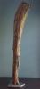 Driftwood Sculpture "Alphorn" with Marble Base | Sculptures by Sculptured By Nature  By John Walker. Item made of wood works with minimalism style