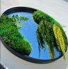 Botanical Mirror | Decorative Objects by Moss Art Installations