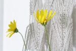 Hanging flower holder - Botanic | Plant Hanger in Plants & Landscape by Stephany Díaz Branada | Karün Store