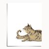 Isengrin Looking Up - White Edition | Prints by The Ugly Cat Studio